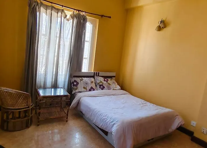 招待所 Heritage View Homestay, 加德满都